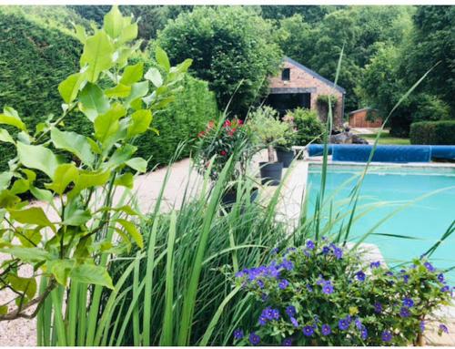 a garden with flowers and a swimming pool at La mosane in Profondeville