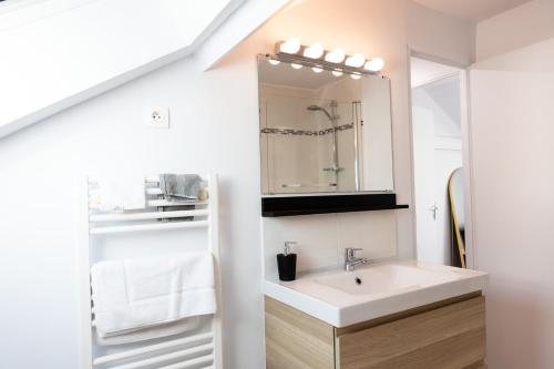 une salle de bains avec un lavabo et un miroir dans l'établissement Duplex T3 moderne et lumineux Angers, à Angers