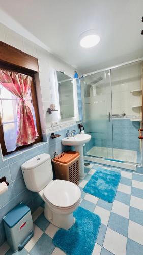 a bathroom with a toilet and a sink and a shower at La torrevia in Santillana del Mar