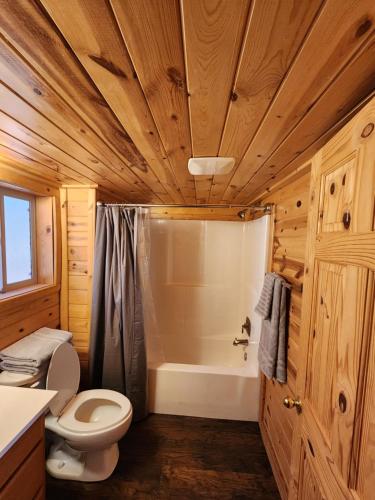 a bathroom with a toilet and a shower and a sink at Grandpa's Cabin in Apple Valley