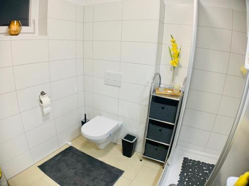 a small bathroom with a toilet and a shower at Apartment Centro - YOUR 2nd HOME in GRAZ in Graz