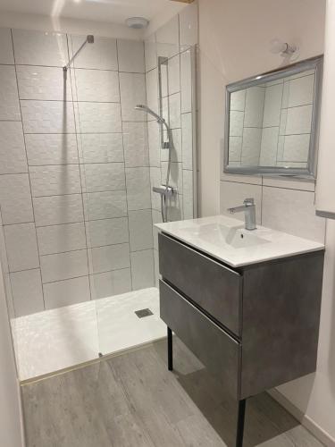 La salle de bains est pourvue d'un lavabo et d'une douche. dans l'établissement Amaryllis aux Bords de Loire, à Les Rosiers