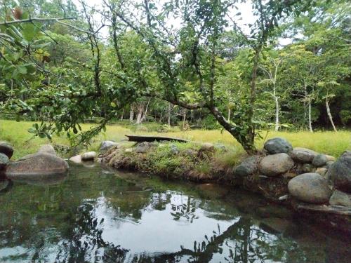 Gallery image of Boquete Guest House in Alto Boquete