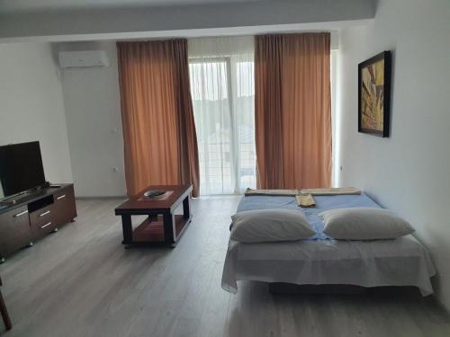 a bedroom with a bed and a television and a table at Vesna Lake Apartments in Veles