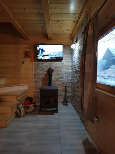 TV a/nebo společenská místnost v ubytování Brvnare Libero TARA