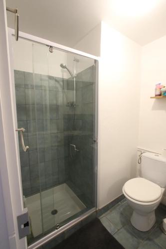 ein Bad mit einer Dusche und einem WC in der Unterkunft Super appartement avec belle luminosité en plein centre ville de Sisteron in Sisteron