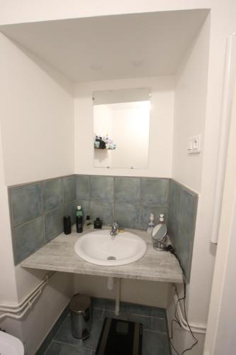 ein Bad mit einem Waschbecken und einem Spiegel in der Unterkunft Super appartement avec belle luminosité en plein centre ville de Sisteron in Sisteron