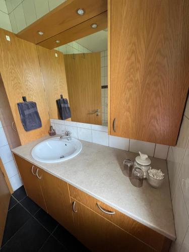 ein Bad mit einem Waschbecken und einem Spiegel in der Unterkunft Fíflholt in Hvolsvöllur
