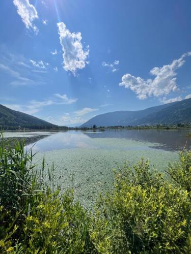 a view of a lake with mountains in the background at FRESH Apartments in Ossiach