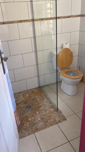 ein Badezimmer mit einem WC und einer Glasduschkabine in der Unterkunft HAMEAU DE BEAUREGARD à Sainte Anne in Sainte-Anne