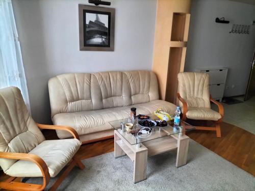 a living room with a couch and a coffee table at Park Studio in Oborniki Śląskie