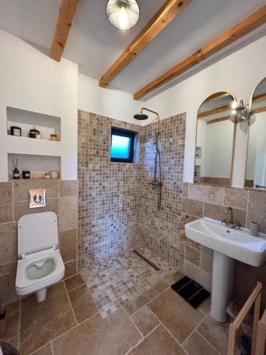 La salle de bains est pourvue de toilettes et d'un lavabo. dans l'établissement Orastioara Retreat, 