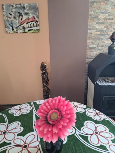 une fleur rose assise sur une table dans l'établissement Морска звезда Апартамент, à Bourgas