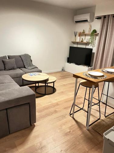 Appartement 2 pieces spacieux