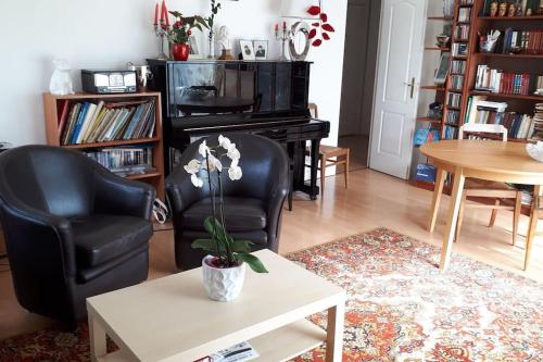ein Wohnzimmer mit einem Stuhl, einem Tisch und einem Klavier in der Unterkunft Appartement 65m2/2piéces/centre/parking privé in Bordeaux