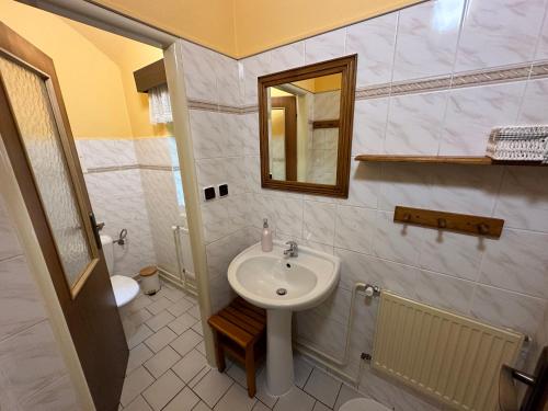 a bathroom with a sink and a mirror at Na Statku Babiččino údolí in Česká Skalice