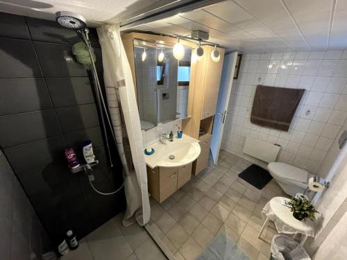 La salle de bains est pourvue d'un lavabo, de toilettes et d'une douche. dans l'établissement Joli Appartement paisible, 
