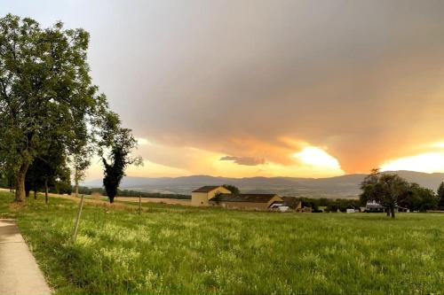 a field of grass with a sunset in the background at Joli Appartement paisible in Corcelles-sur-Chavornay