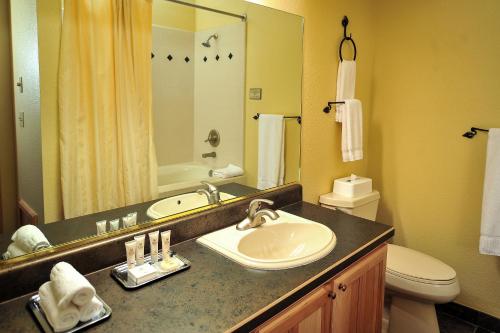 a bathroom with a sink and a toilet and a mirror at Cedar Breaks Lodge in Brian Head