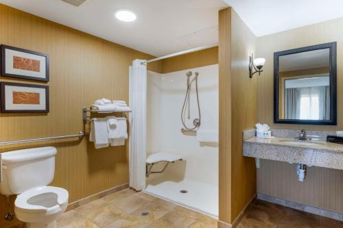 ein Bad mit einem WC, einem Waschbecken und einer Dusche in der Unterkunft Comfort Suites Kodak Sevierville in Kodak