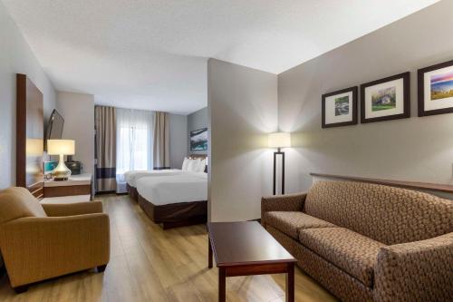 una camera d'albergo con letto e divano di Comfort Suites Kodak Sevierville a Kodak