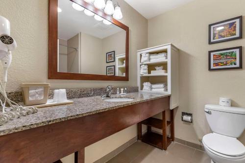 a bathroom with a sink and a toilet and a mirror at Comfort Suites Medical Center Near Six Flags in San Antonio