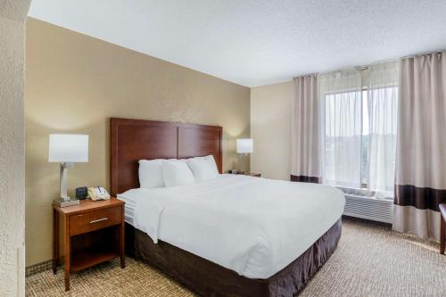 a hotel room with a large bed and a window at Comfort Inn & Suites in La Grange
