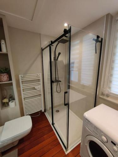 une salle de bain avec douche et machine à laver dans l'établissement Le Bacchus - hypercentre de Reims, à Reims