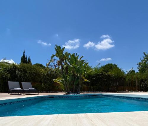 a swimming pool with two chairs and a palm tree at Chalet - Casa móvil Pinos - 3 beds, pool, private garden in Alhaurín de la Torre