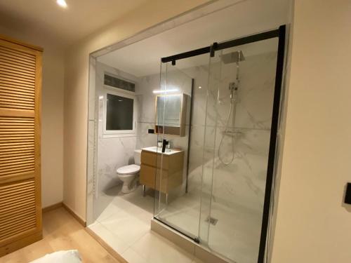 une salle de bain avec une douche en verre et des toilettes dans l'établissement Sunsète appartement T3 duplex centre ville avec terrasse et balcon, à Sète
