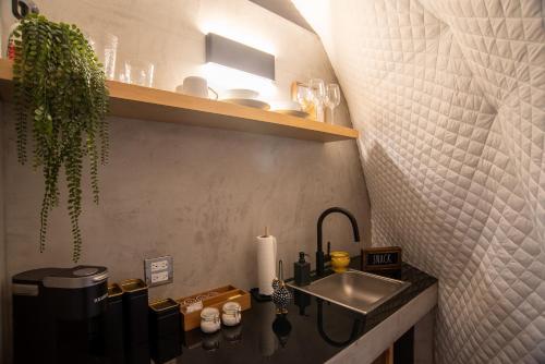 un bagno con lavandino e bancone con una pianta di Cúpulas Del Valle by Villa De La Rosa a Ensenada
