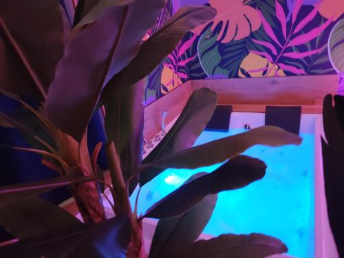 a plant in front of a tv with purple lights at Suite Maison Tropical - Luxury Apartment in Central Bari in Bari