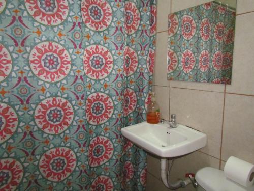 a bathroom with a sink and a shower curtain at Hostel Shakti in San José