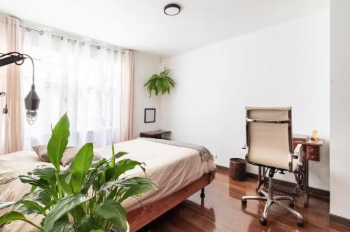Yoses Casa – Photos 2