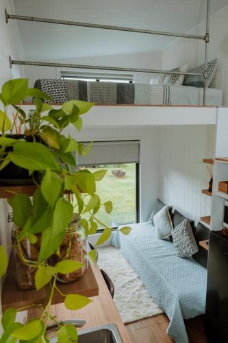 a living room with a bed and a couch at Blackwattle Farm in Beerwah