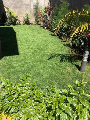 a yard with green grass and some bushes and plants at Forget your worries in this serene 5 Bedroom Villa in Ngong in Nairobi