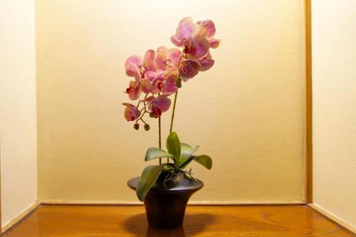 Imagen de la galería de Hokkawa Onsen Hotel, en Higashiizu