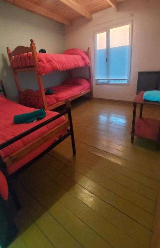 Cette chambre comprend 2 lits superposés et une fenêtre. dans l'établissement Los alamos, à Río Gallegos