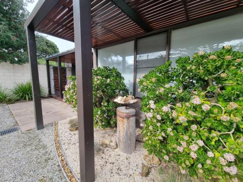a patio with a bunch of flowers and a barrel at Beach Haven in Point Lonsdale