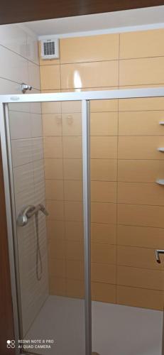 ein Bad mit einer Dusche und einer Glastür in der Unterkunft Na vrtu K25 in Gradac
