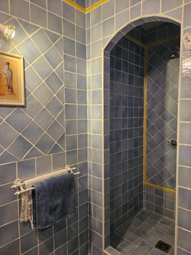 La salle de bains est pourvue de carrelage bleu et d'une douche. dans l'établissement Bastide des Oliviers, à Moustiers-Sainte-Marie