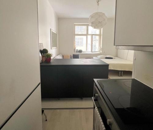 Kuchyň nebo kuchyňský kout v ubytování Sweethome Studio 49 in City Center Punavuori district