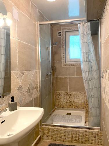 une salle de bain avec douche et lavabo dans l'établissement Appartement avec accès privé à la rivière, à Ladern-sur-Lauquet