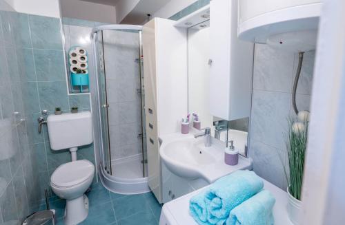 ein Bad mit einem Waschbecken, einem WC und einer Dusche in der Unterkunft Apartman M in Knin