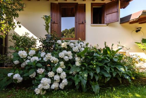un jardín de flores blancas frente a una casa en Alice nel Paese delle Meraviglie, en Gavardo