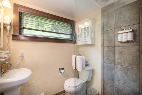 La salle de bains est pourvue de toilettes, d'un lavabo et d'une douche. dans l'établissement Manitou Lodge 7 Hotel Room, à Telluride