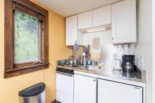 A kitchen or kitchenette at Manitou Lodge 7 Hotel Room