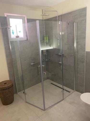 eine Dusche mit Glastür im Bad in der Unterkunft Kaptainshuus Apartment B in Leer