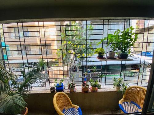 a window with a bunch of potted plants on it at Matruchaya, off Carter Road by Connekt Homes in Mumbai