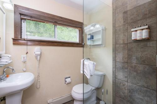 a bathroom with a toilet and a sink and a shower at Manitou Lodge 3 Hotel Room in Telluride